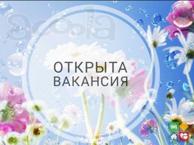 Оформитель дисконтных карт