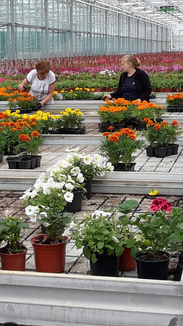 Разнорабочие/комплектовщики на цветочную базу.