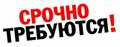 Требуется автомаляр на вахту